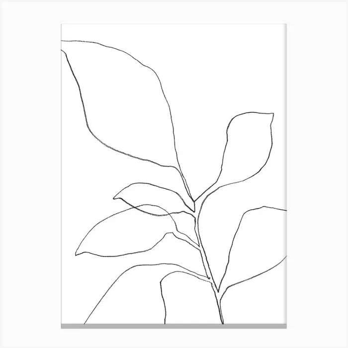 6 Leaf Plant Canvas Line Art Print by Gallery J9