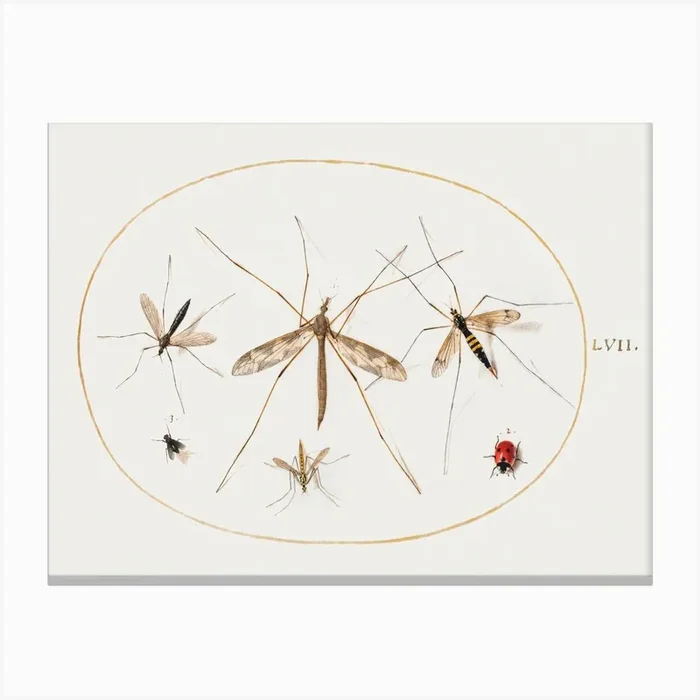A Ladybug, A Fly, And Four Other Insects (1575–1580), Joris Hoefnagel Canvas Print by Fy! Classic Art Prints and Posters
