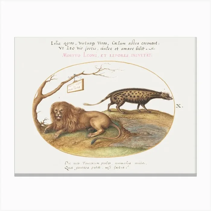 A Lion And A Civet Cat (1575–1580), Joris Hoefnagel Canvas Print by Fy! Classic Art Prints and Posters
