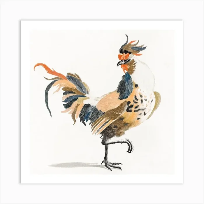 A Rooster, Johan Teyler Art Print by Fy! Classic Art Prints and Posters