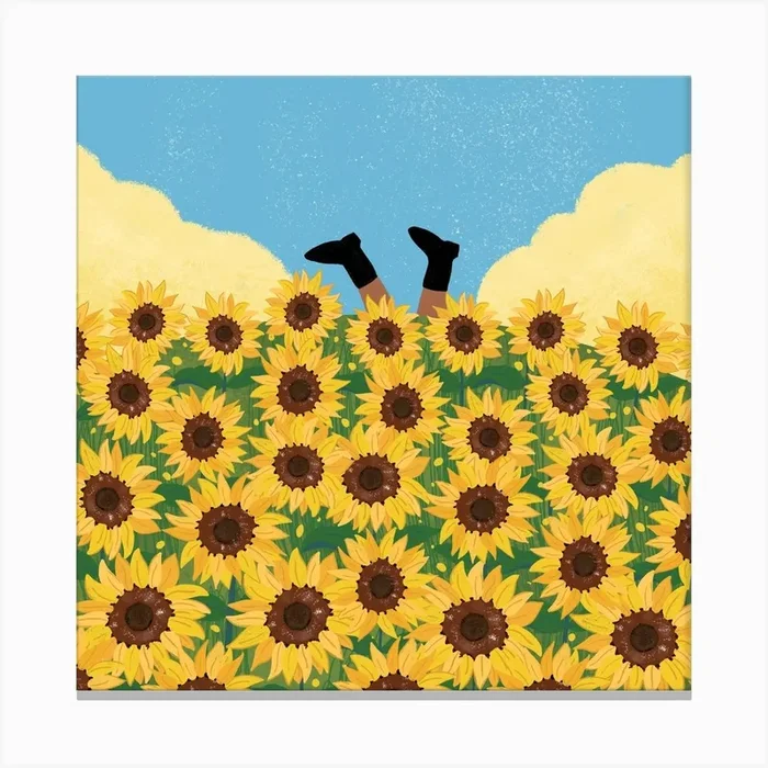 Admist Sunflower Fields Square Canvas Print by Artkrittique