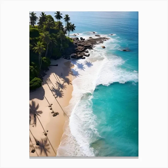 Aerial View Of A Tropical Beach 2 Canvas Print by drdigitaldesign