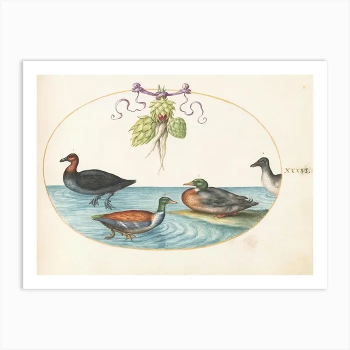 Animalia Volatilia et Amphibia (c. 1575-1580), Joris Hoefnagel (10) Art Print by Fy! Classic Art Prints and Posters