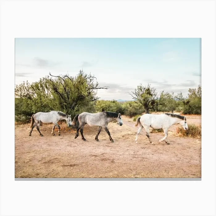 Ariozna Wild Horses Canvas Print by Erica Fuchs Photography