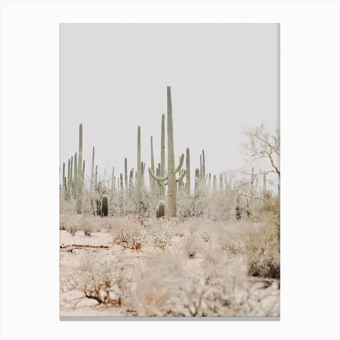 Arizona Desert View Canvas Print by Valley Grove