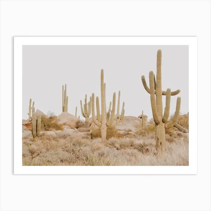 Arizona Landscape Art Print by Valley Grove