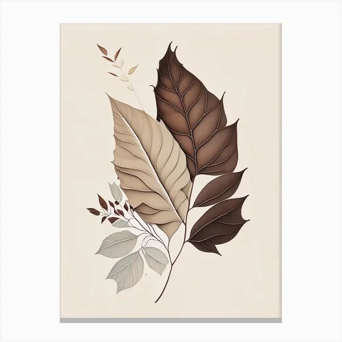 Ash Leaf Earthy Line Art Canvas PrintL& by Leaf & Stem Studio