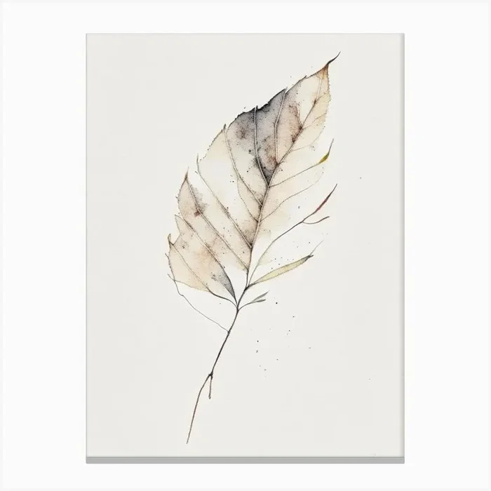 Ash Leaf Minimalist Watercolour 2 Canvas PrintL& by Leaf & Stem Studio