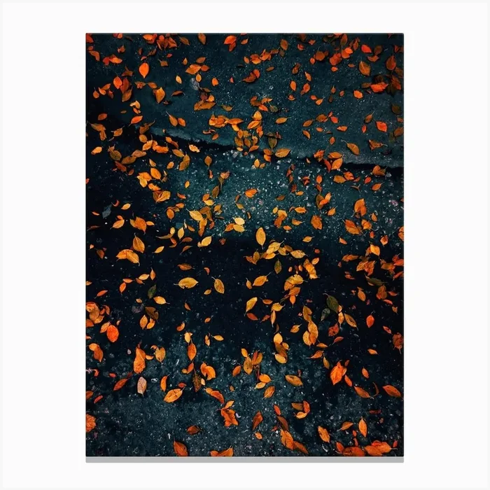 Beauties On The Street Canvas Print by Yalim Vural