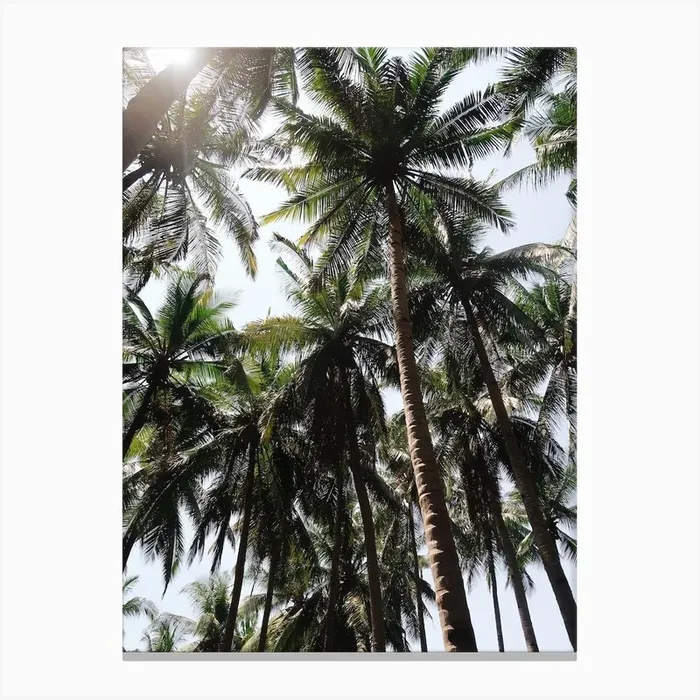 Beneath Bali’s Palm Trees Canvas Print by Vy Van Nguyen