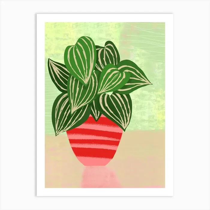 Big Leaf Potted Plant Art Print by Kim Hubball Studio