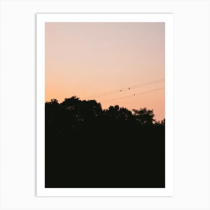 Birds Enjoying Orange Sunset Art Print by Vy Van Nguyen