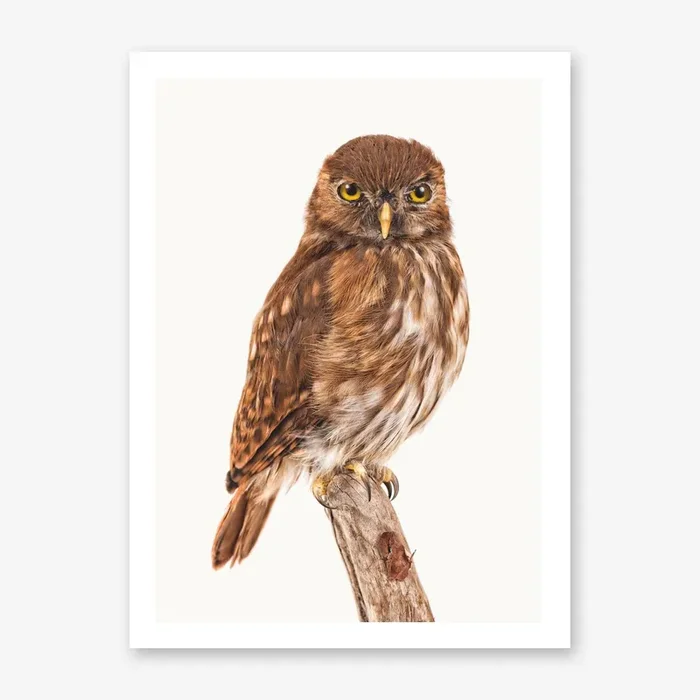 Birds X Art Print by Mariëlle Leenders