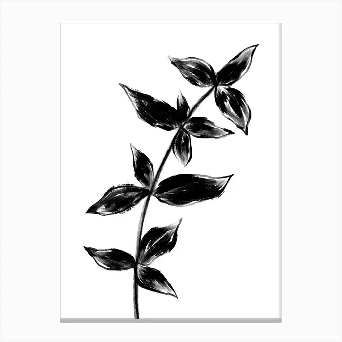 Black Plant Two Canvas PrintM by Martina