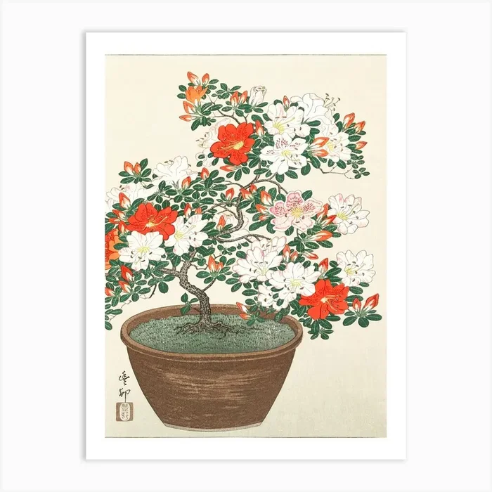 Blooming Azalea In Brown Pot (1920 1930), Ohara Koson Art Print by Fy! Classic Art Prints and Posters