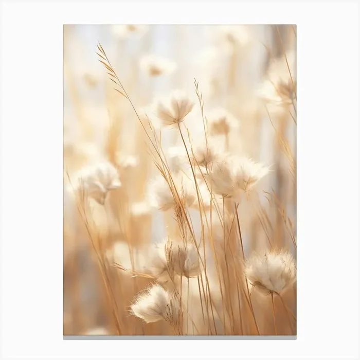 Boho Dried Flowers Flax Flower 3 Canvas Print by Botanic Studio