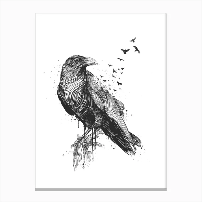 Born to be free (bw) Canvas Print by Balázs Solti