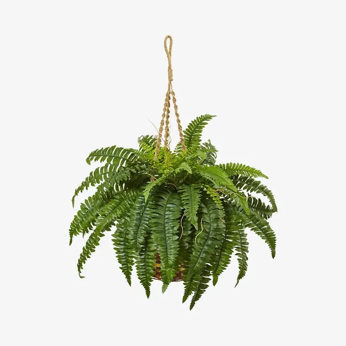 Boston Fern Hanging Wicker Basket – Green by Faux Foliage from Fy!
