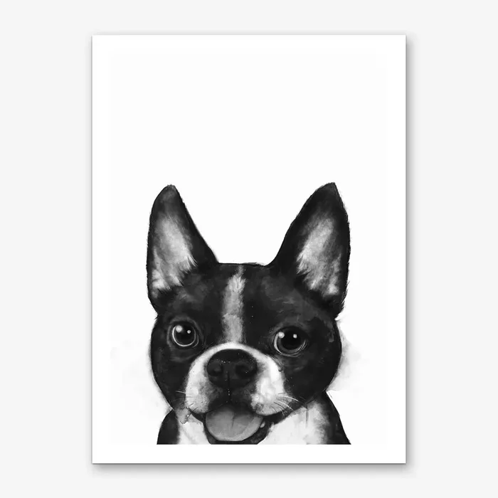 Boston Terrier Art Print by Laura Graves