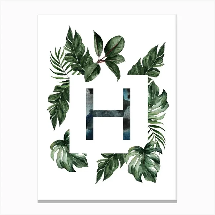 Botanical Alphabet H Canvas Print by Hancock Illustrations