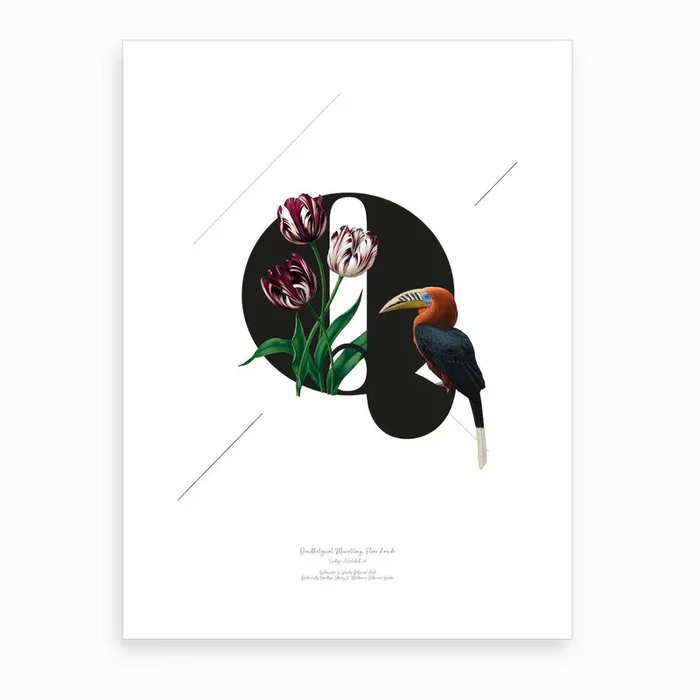 Botanical Alphabet Q Art Print by Froilein Juno