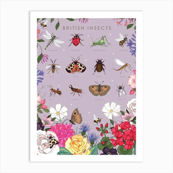 British Insects Art Print by Angie Spurgeon