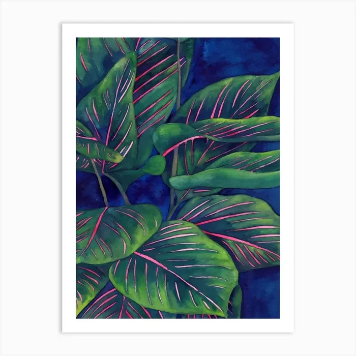 Calathea Ornata 1 Art Print by Gush Art Studio