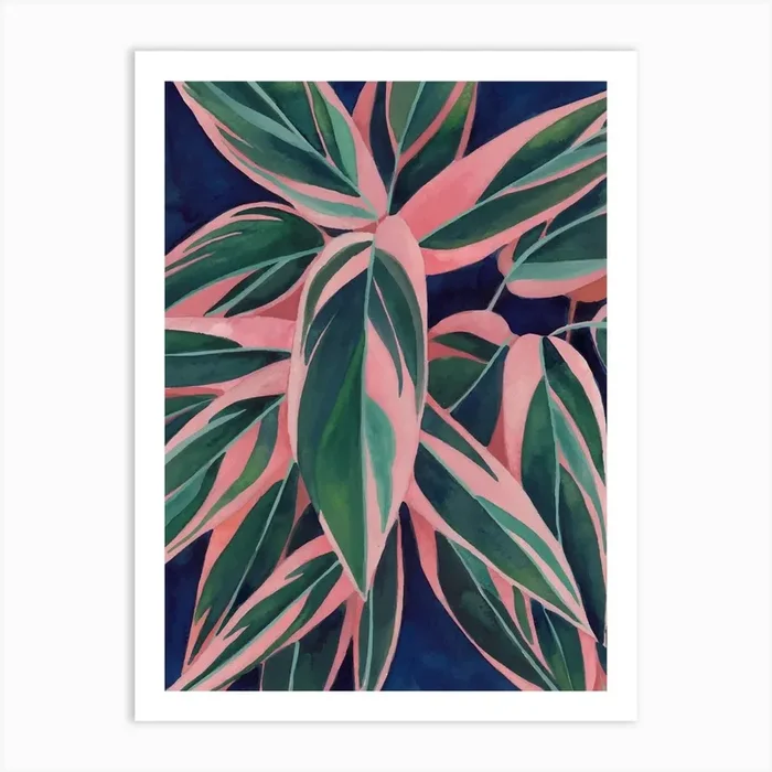 Calathea Triostar 3 Art Print by Gush Art Studio