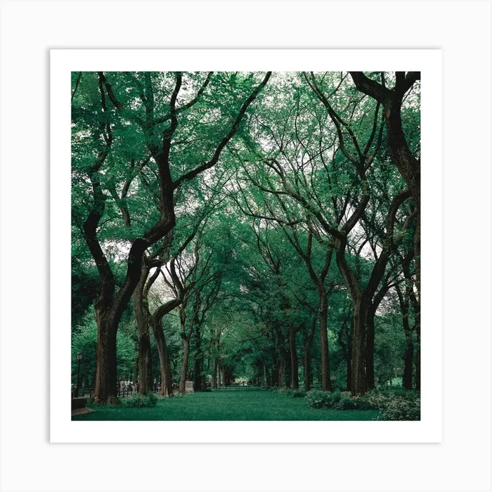 Central Park Art PrintCI by creative ideas