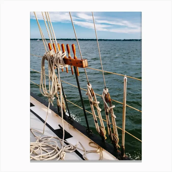 Charleston Sailboat IV Canvas Print by Bethany Young