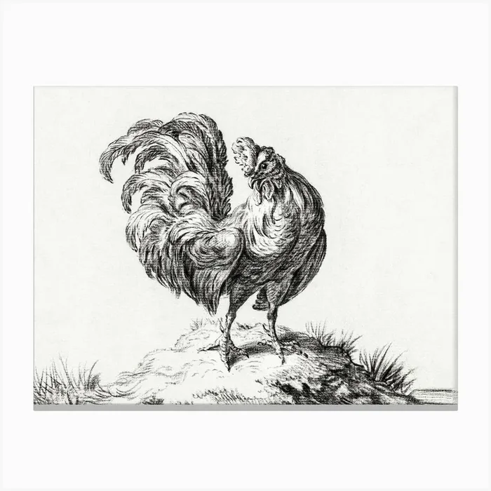 Chicken, Standing On A Hill, Jean Bernard Canvas Print by Fy! Classic Art Prints and Posters