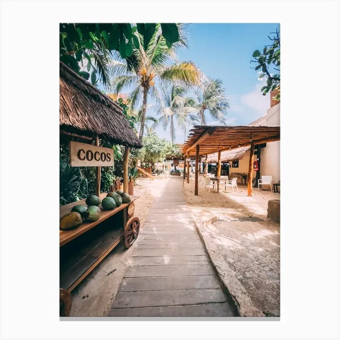Coconut On The Beach Canvas PrintDM by Diego Morrison