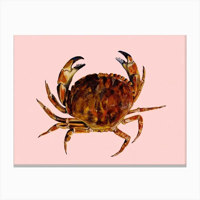 Crab On Pink Canvas Print by Max Made Me