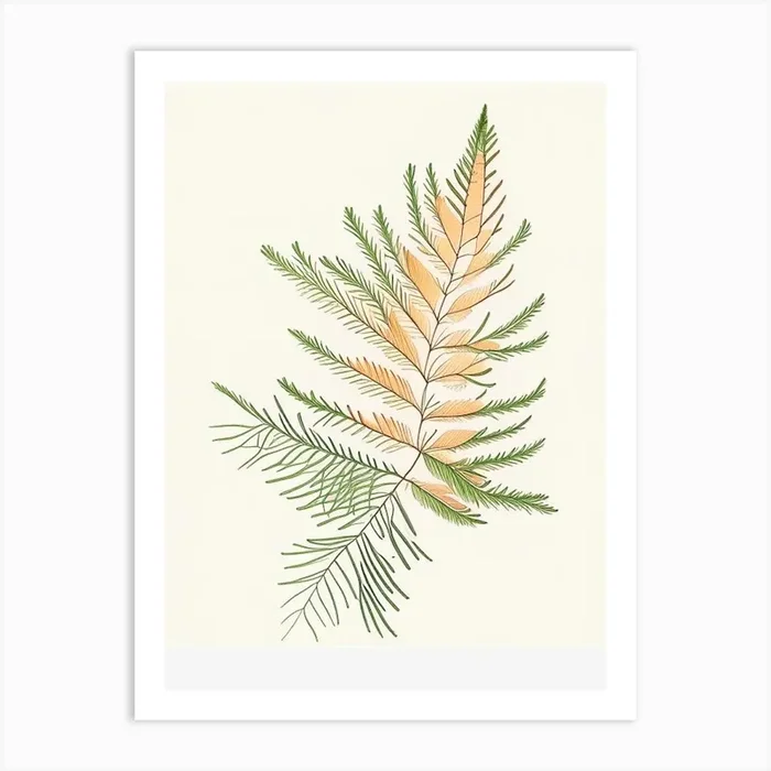 Cypress Leaf Illustration Art PrintL& by Leaf & Stem Studio