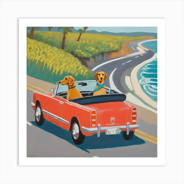 Dachshunds Dogs in Convertible Series. Style of David Hockney 1 Art Print by David Miller