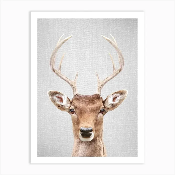 Deer 2 Art Print by Gal Design