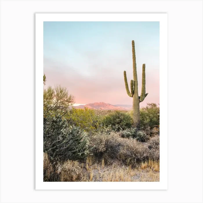 Desert Sunset 1 Art Print by Erica Fuchs Photography