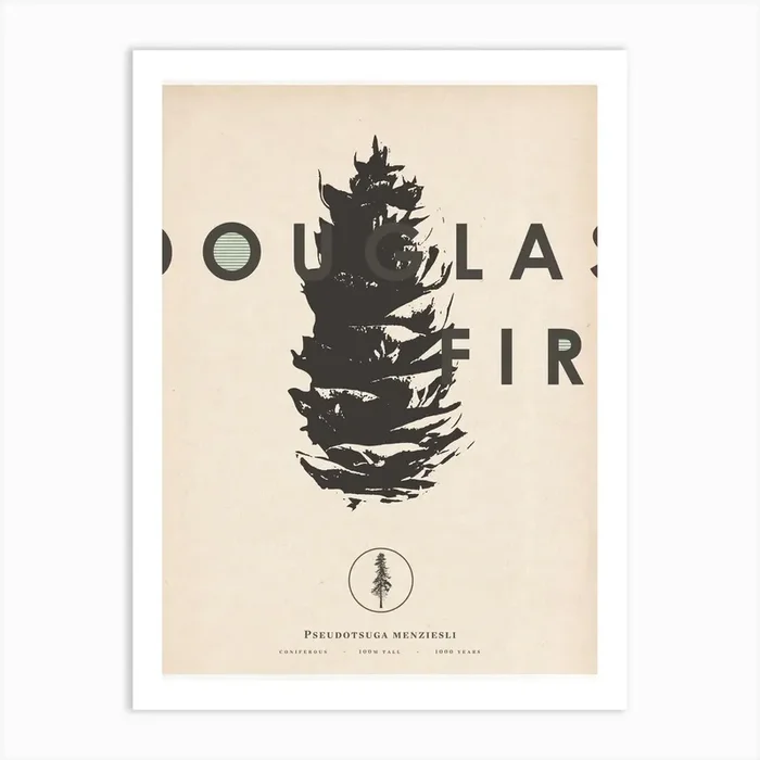 Douglas Fir Art Print by Mark Lange