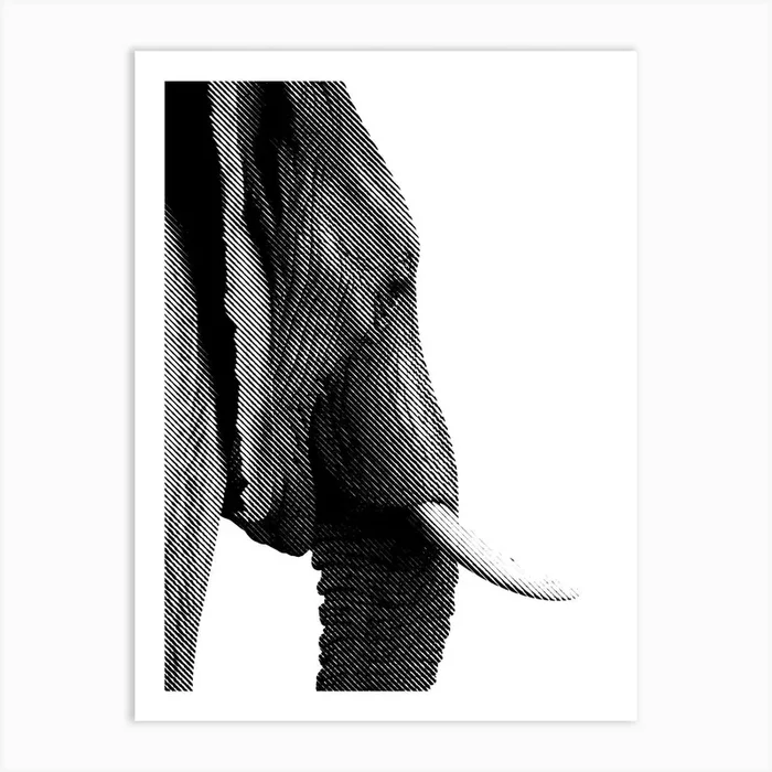 Elephant Line Art 3 Art PrintAB by Andika Bahtiar