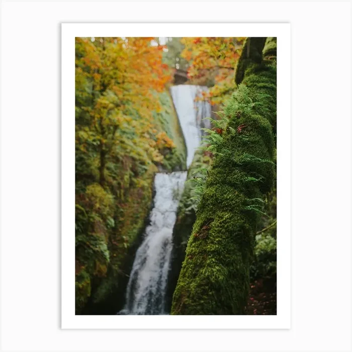 Fall Waterfall Art Print by Cole Keister