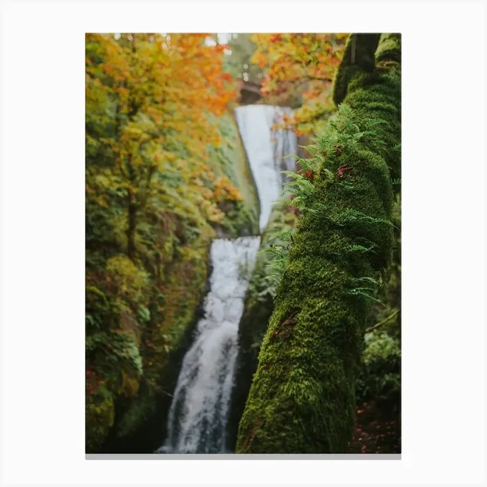 Fall Waterfall Canvas Print by Cole Keister