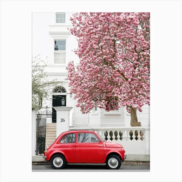 Fiat 500 Magnolia Canvas Print by Victoria’s Stories