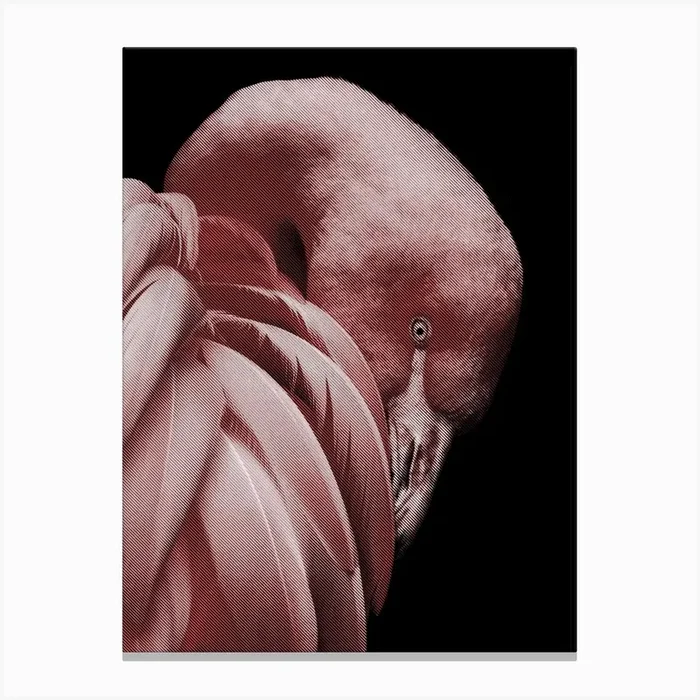 Flamingo Line Art 1 Canvas PrintAB by Andika Bahtiar