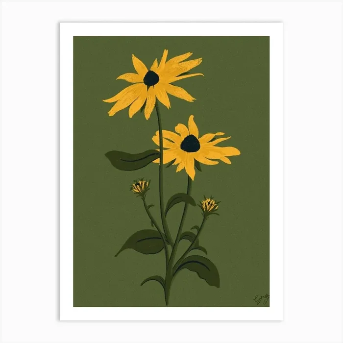 Flower Black Eyed Susan Art Print by Ellis Gadsby Illustration
