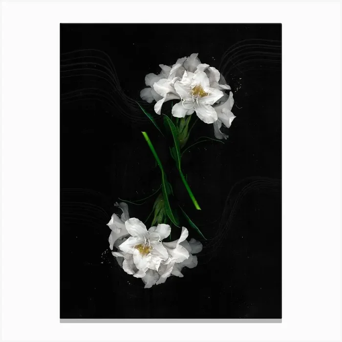 Flower Studies 1 Canvas Print by Constantine