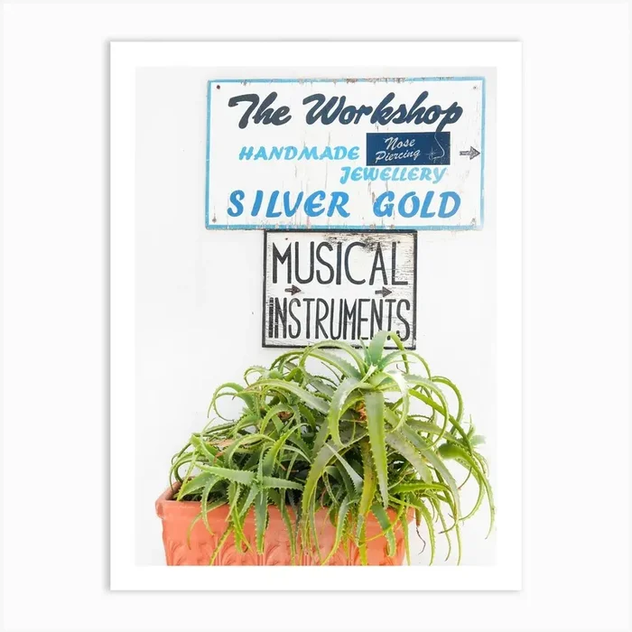 Greek Island Cactus Art Print by Victoria’s Stories