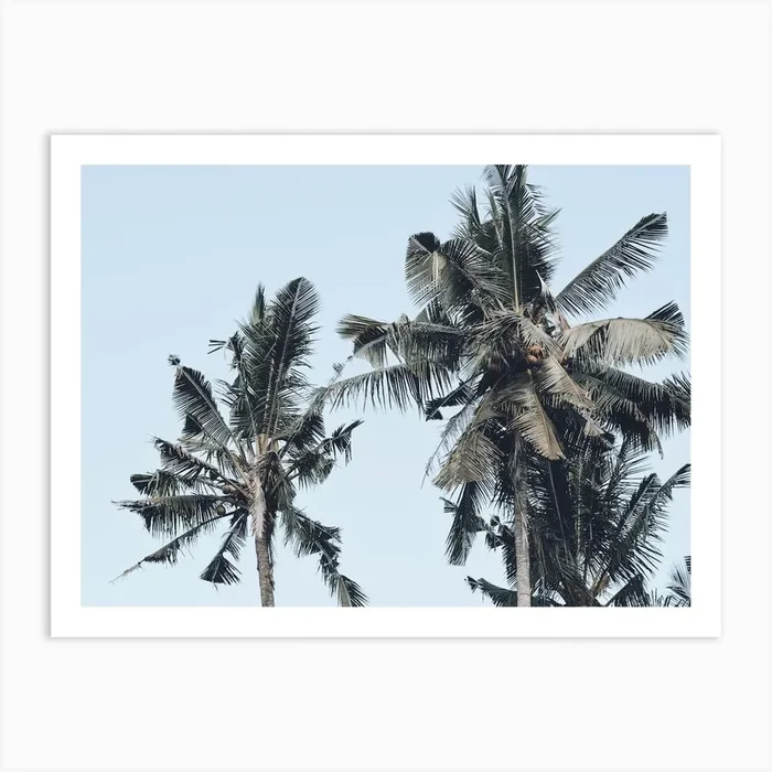Green Palm Trees Art Print by Alameda