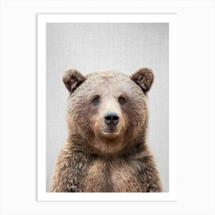 Grizzly Bear Art Print by Gal Design