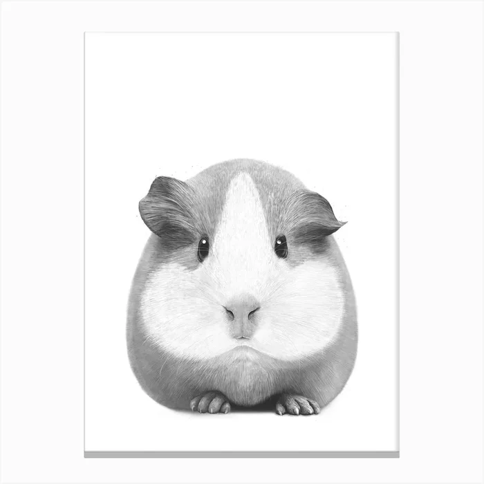 Guinea Pig Girl Canvas Print by Valeriya Korenkova