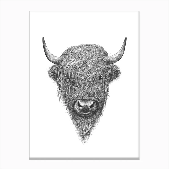 Highland Bull Canvas Print by Valeriya Korenkova